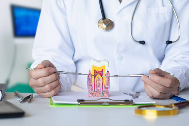 Best Pediatric Emergency Dentist in Woodhaven, MI